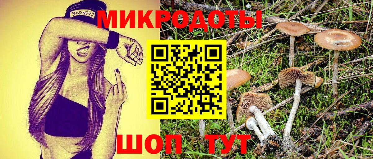 Галлюциногенные грибы прущие грибы Михайловка